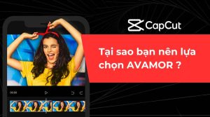 Tại sao bạn nên lựa chọn AVAMOR