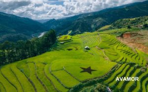 Góc máy đại cảnh