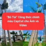 “Bỏ Túi” Công thức chỉnh màu CapCut cho Ảnh và Video