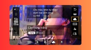 Cân bằng trắng