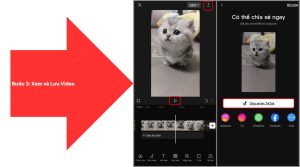 Xem và Lưu Video